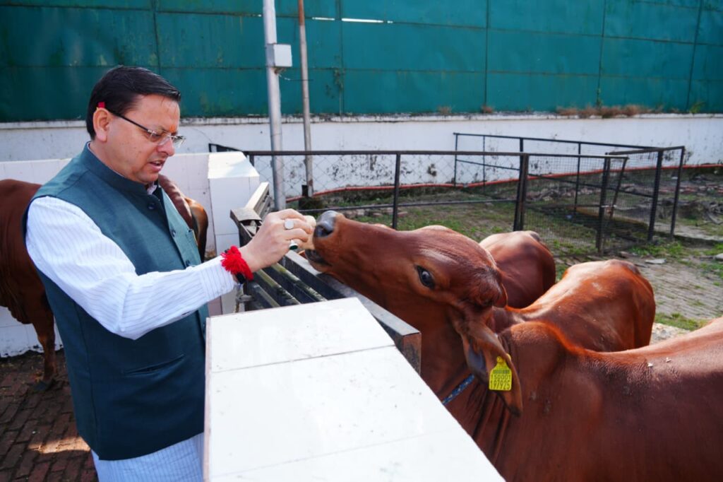मुख्यमंत्री धामी ने की सीएम आवास स्थित गौशाला में गोवर्धन पूजा पर गौ माता की पूजा-अर्चना