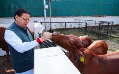 मुख्यमंत्री धामी ने की सीएम आवास स्थित गौशाला में गोवर्धन पूजा पर गौ माता की पूजा-अर्चना