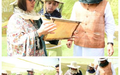 राज्य में प्रचुर मात्रा में फूलों की प्रजातियां: धामी